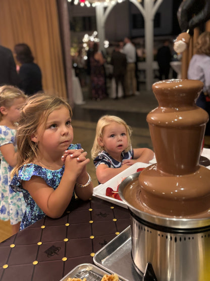 Chocolate Fountain (Regular)