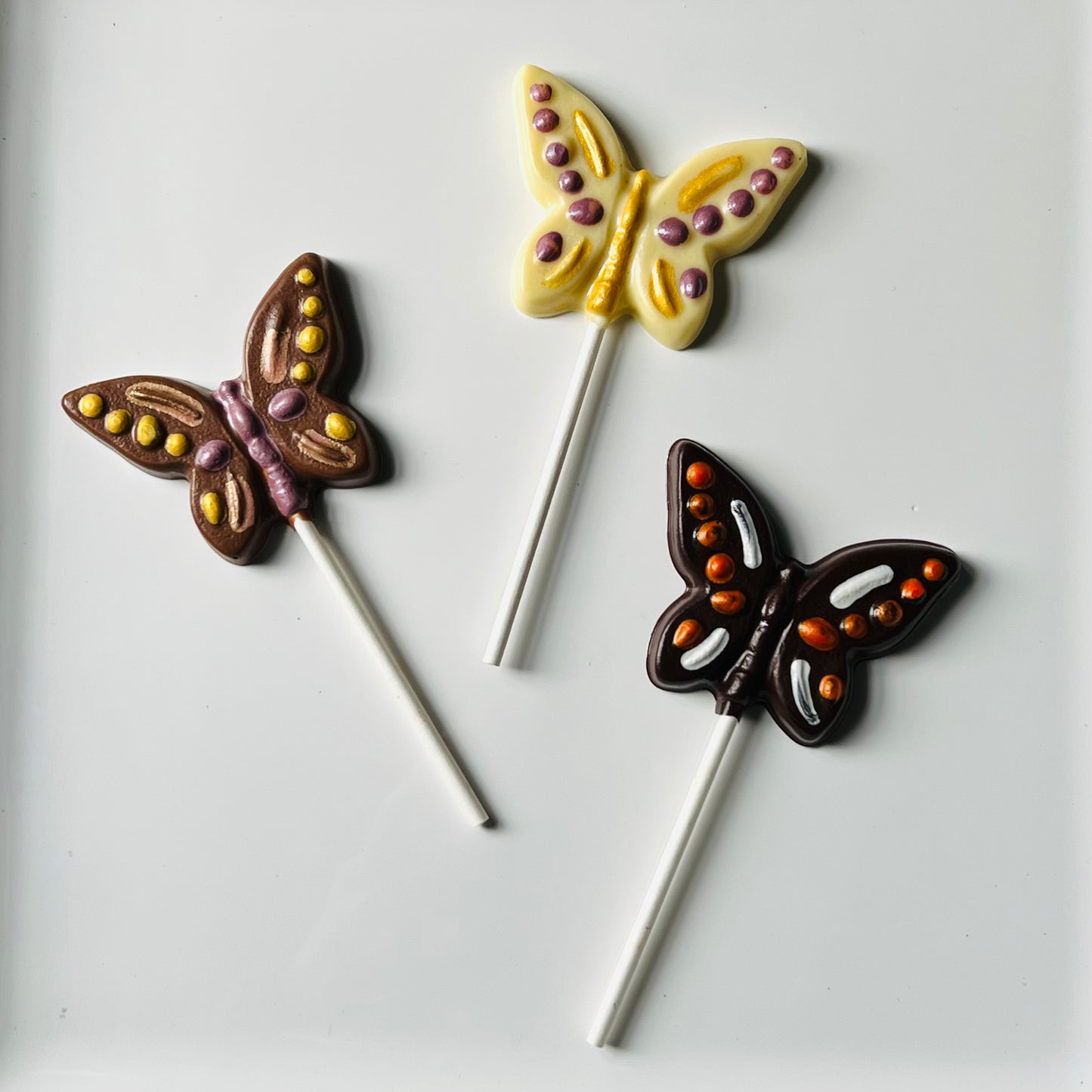 Lollipop butterfly colorful