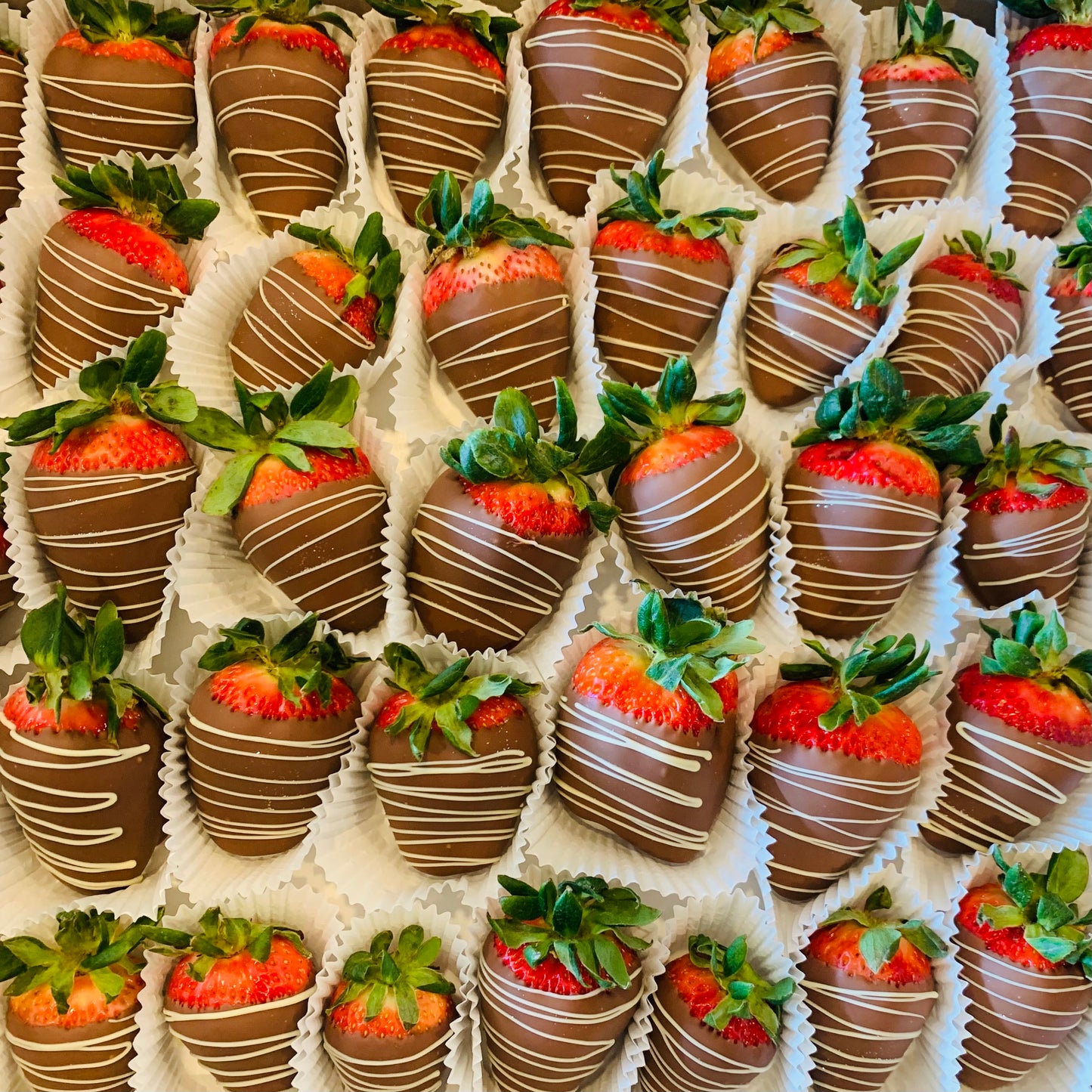 Chocolate Covered Strawberries